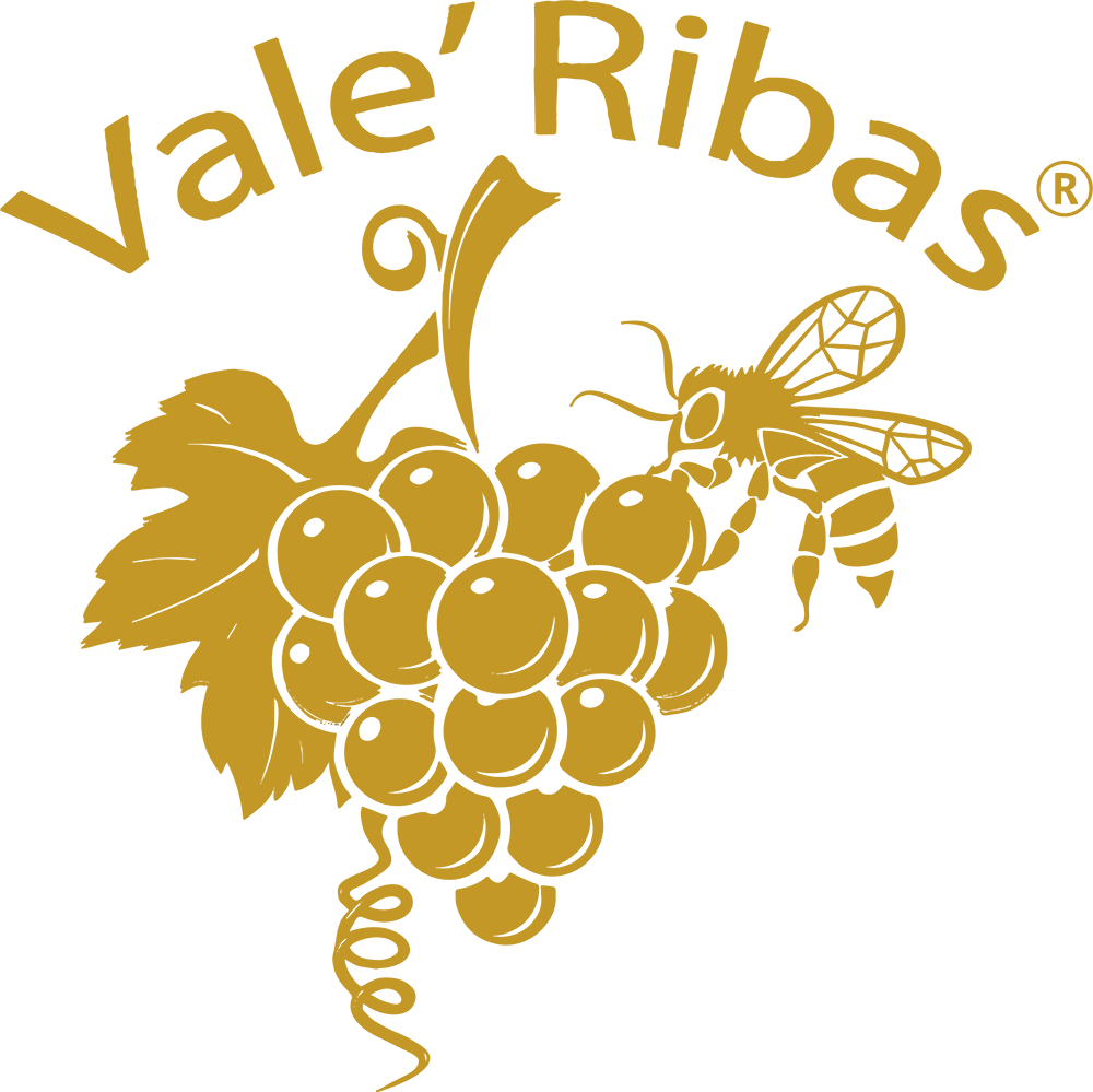 Wine Ribas